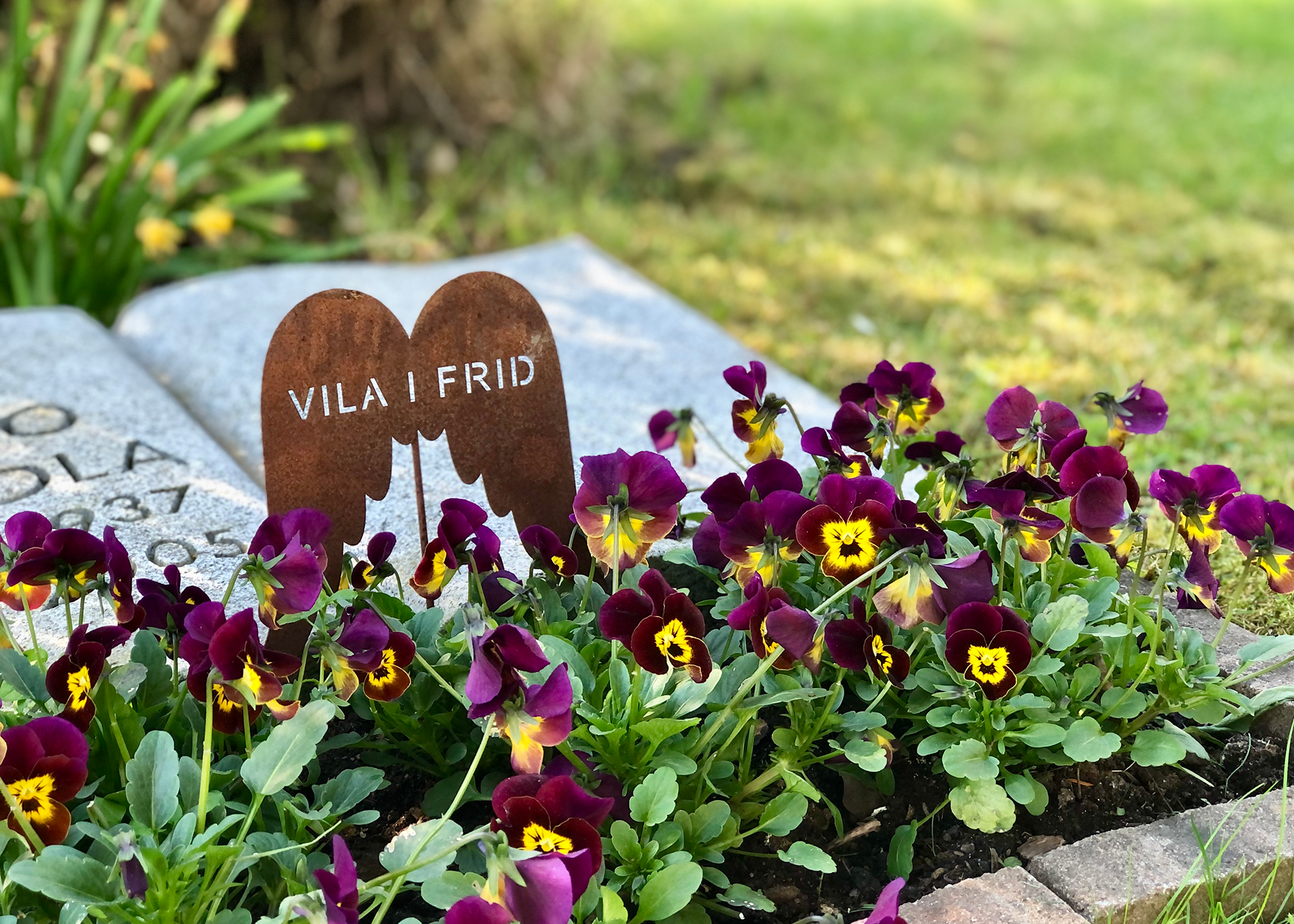 Grav på Avesta kyrkogård med änglavingar där det är inristat "Vila i frid" och många penséer som lyser upp.