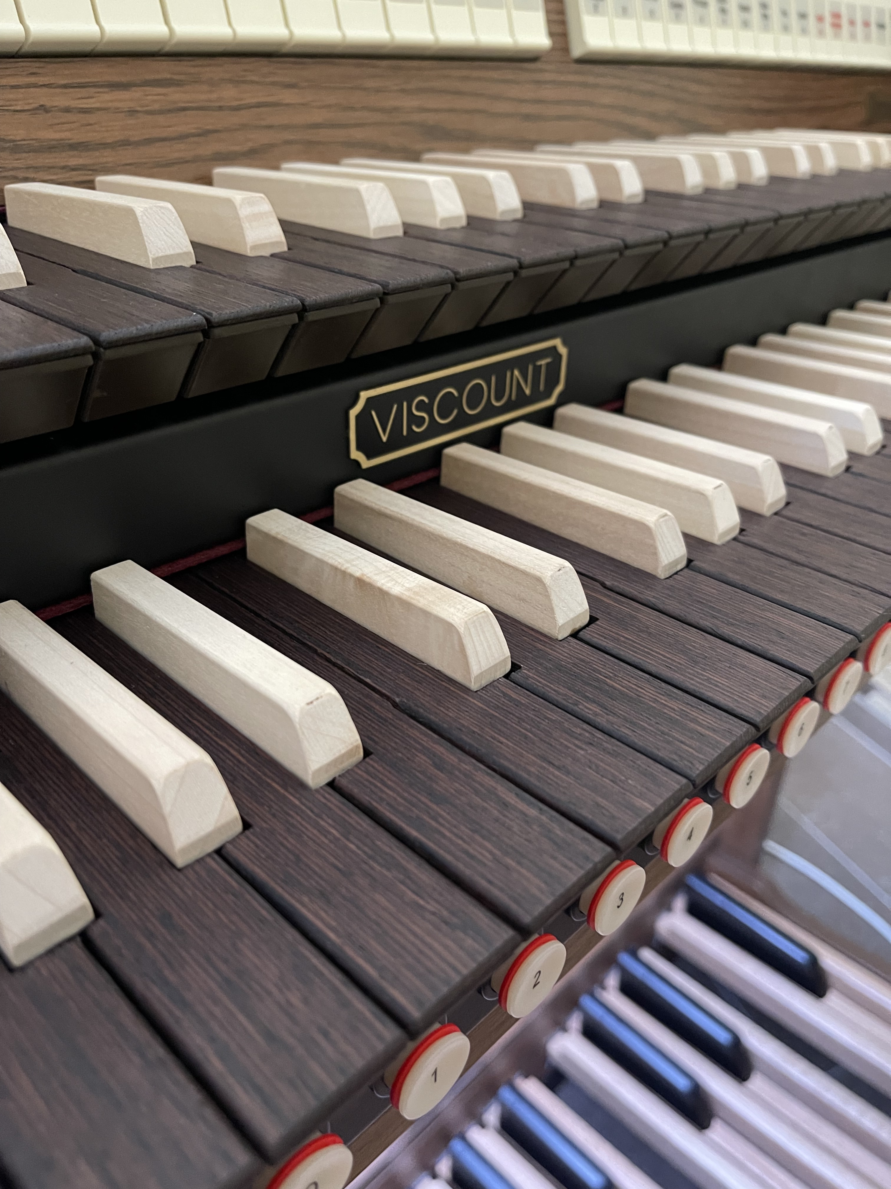 Orgel i S:t Elavi Kapell