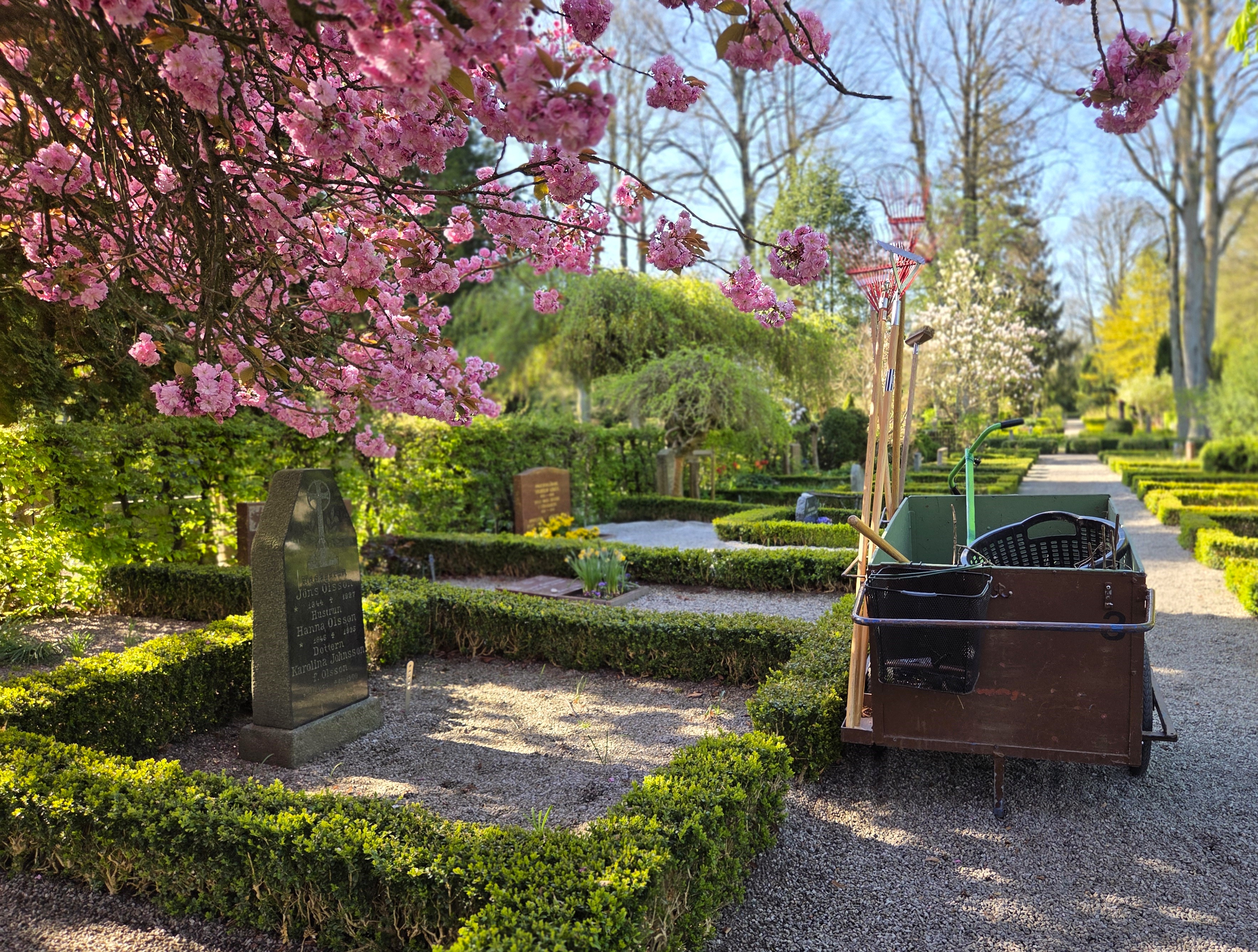 Kyrkogårdsarbete vagn med verktyg under träd