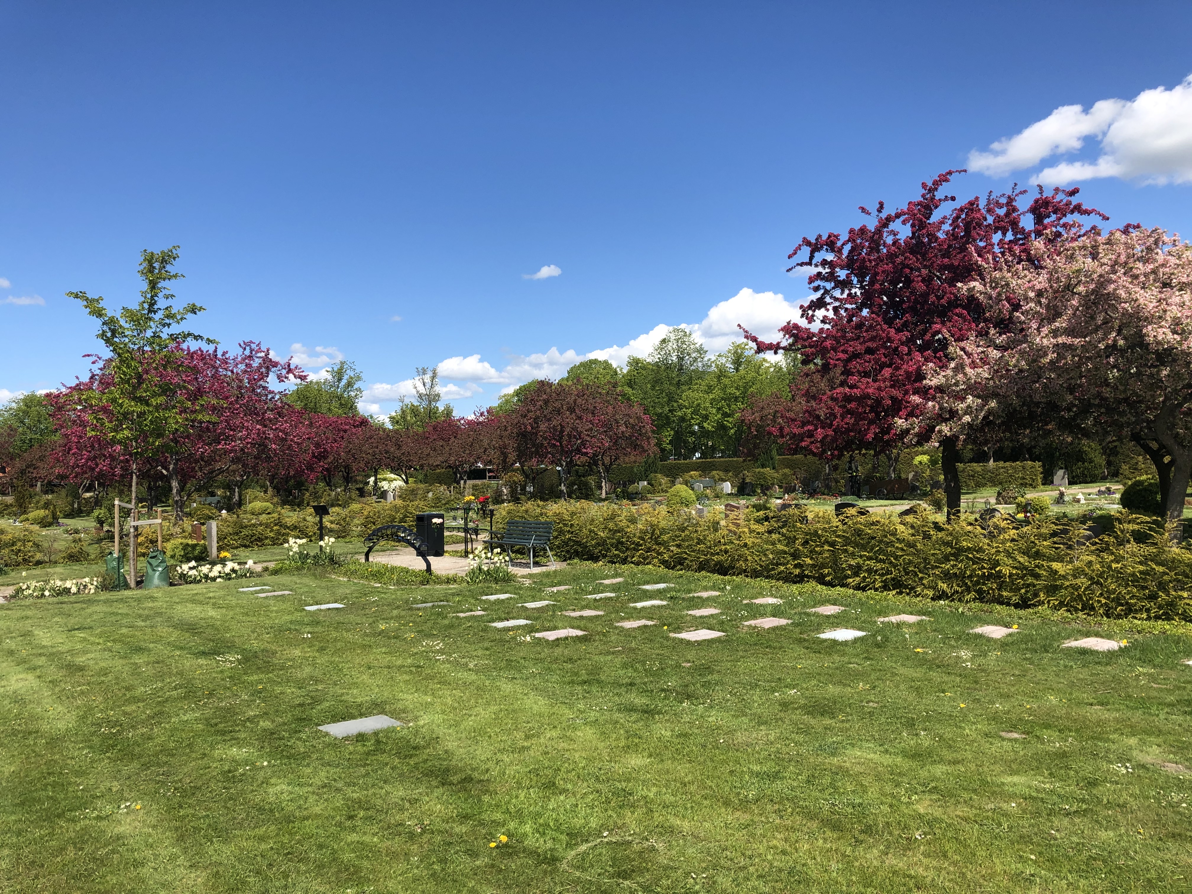 Askgravplats 50A, Norra kyrkogården