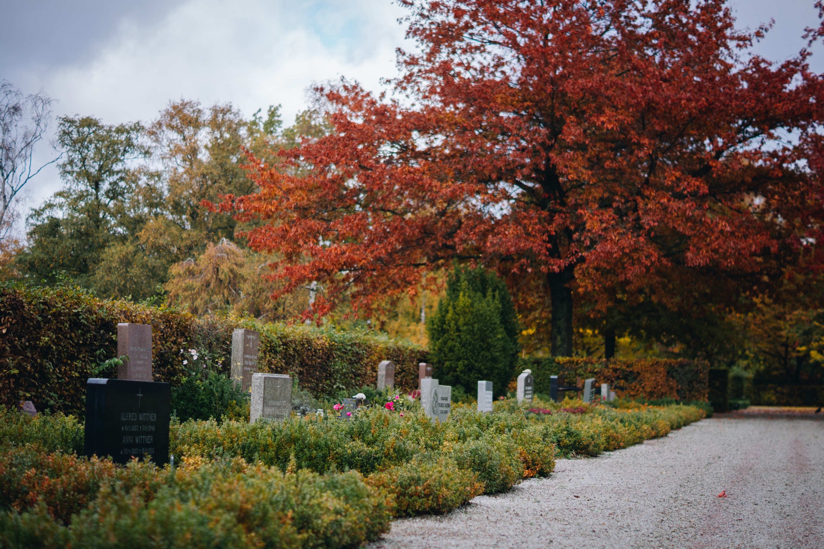 Norra kyrkogården Lund, Gravstenar höst