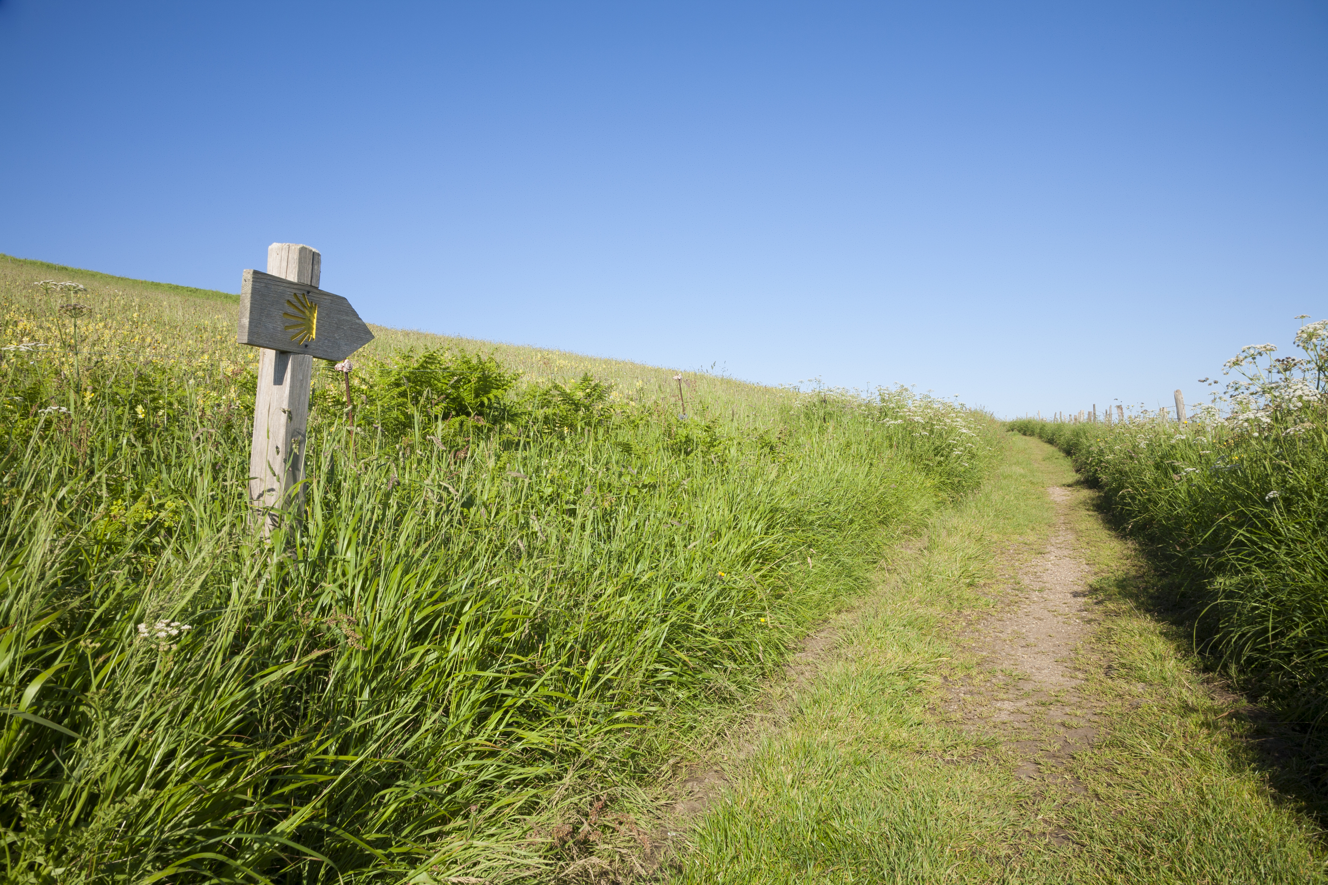 Pilgrimage path