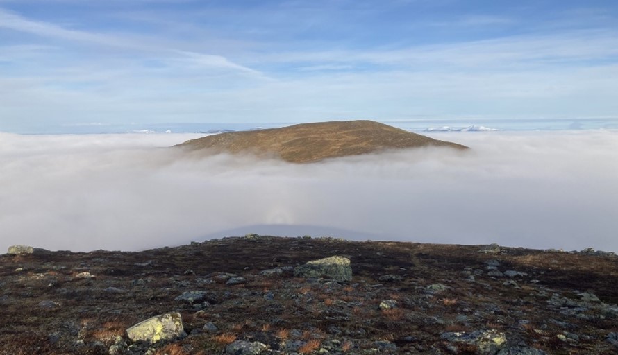 Bild på fjäll