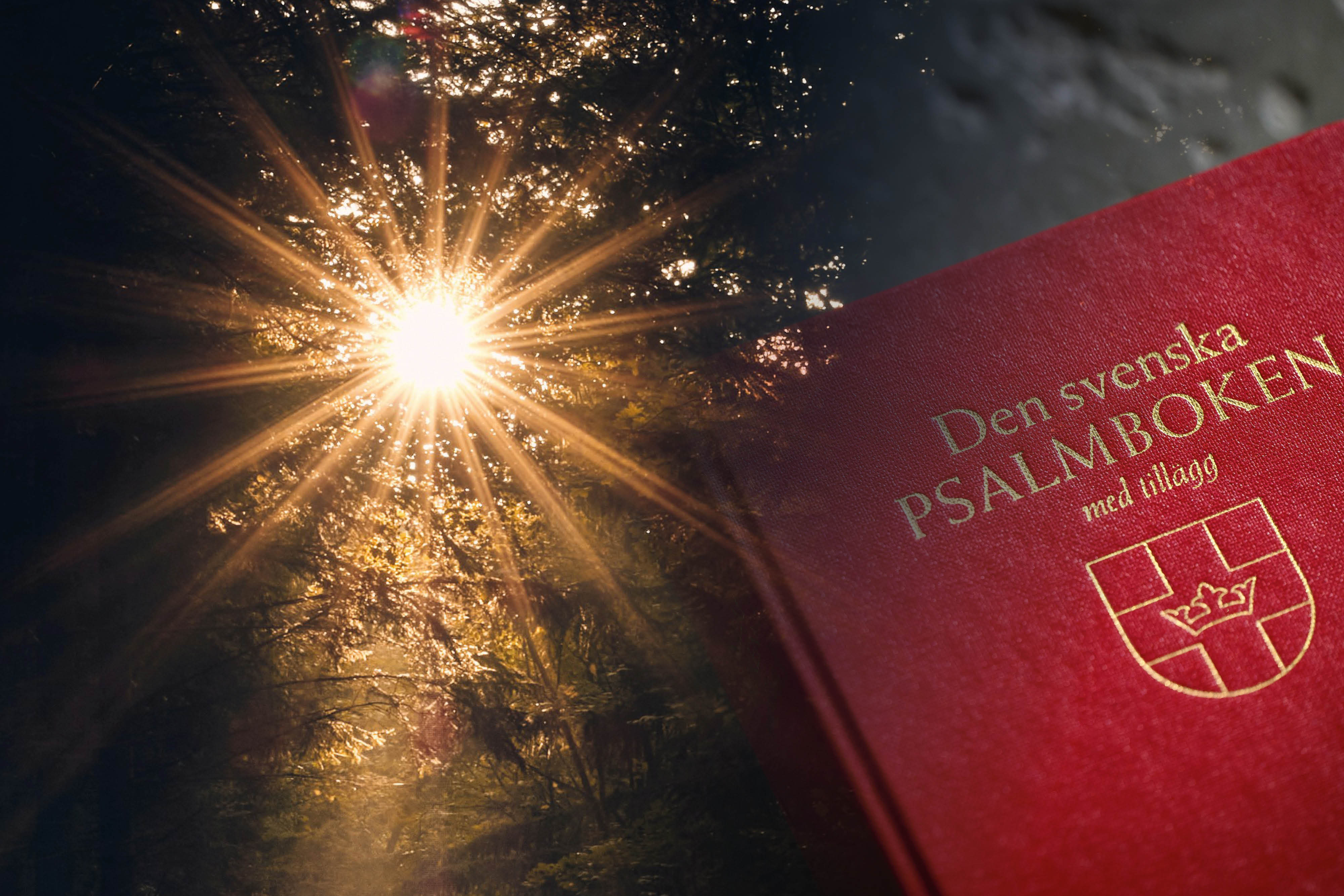 Solljus genom lövverk och en psalmbok.