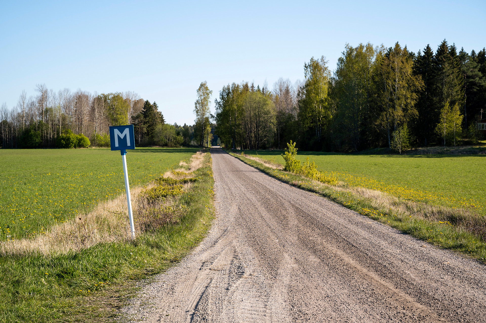 Bilden visar en mötesplats vid en grusväg. Mötesplatser är viktiga, både i livet och på grusvägar.