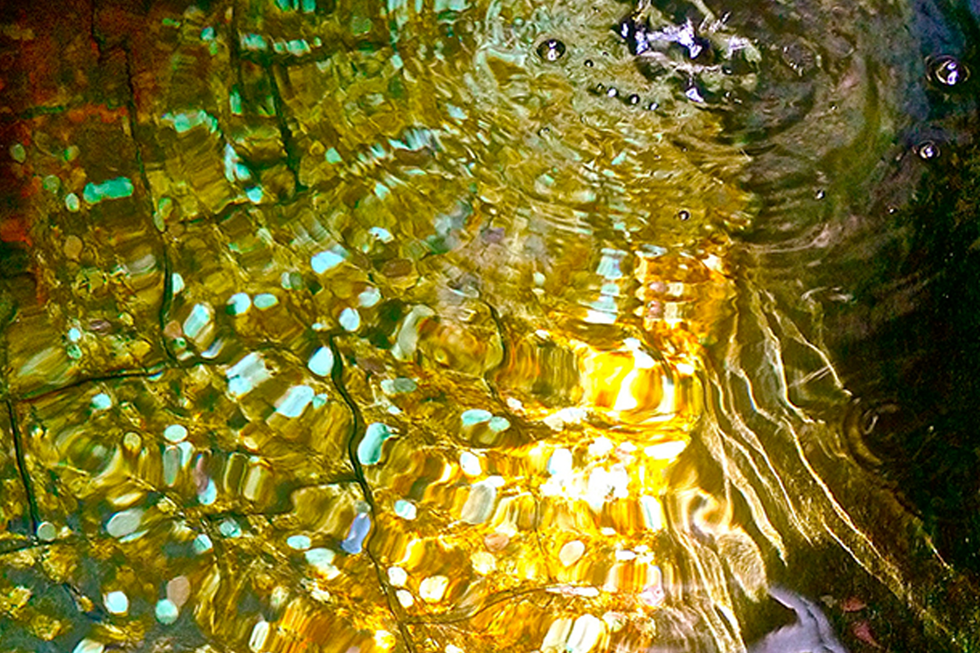 Ett fotografi på ett vatten med krusad yta och gyllene blänk.