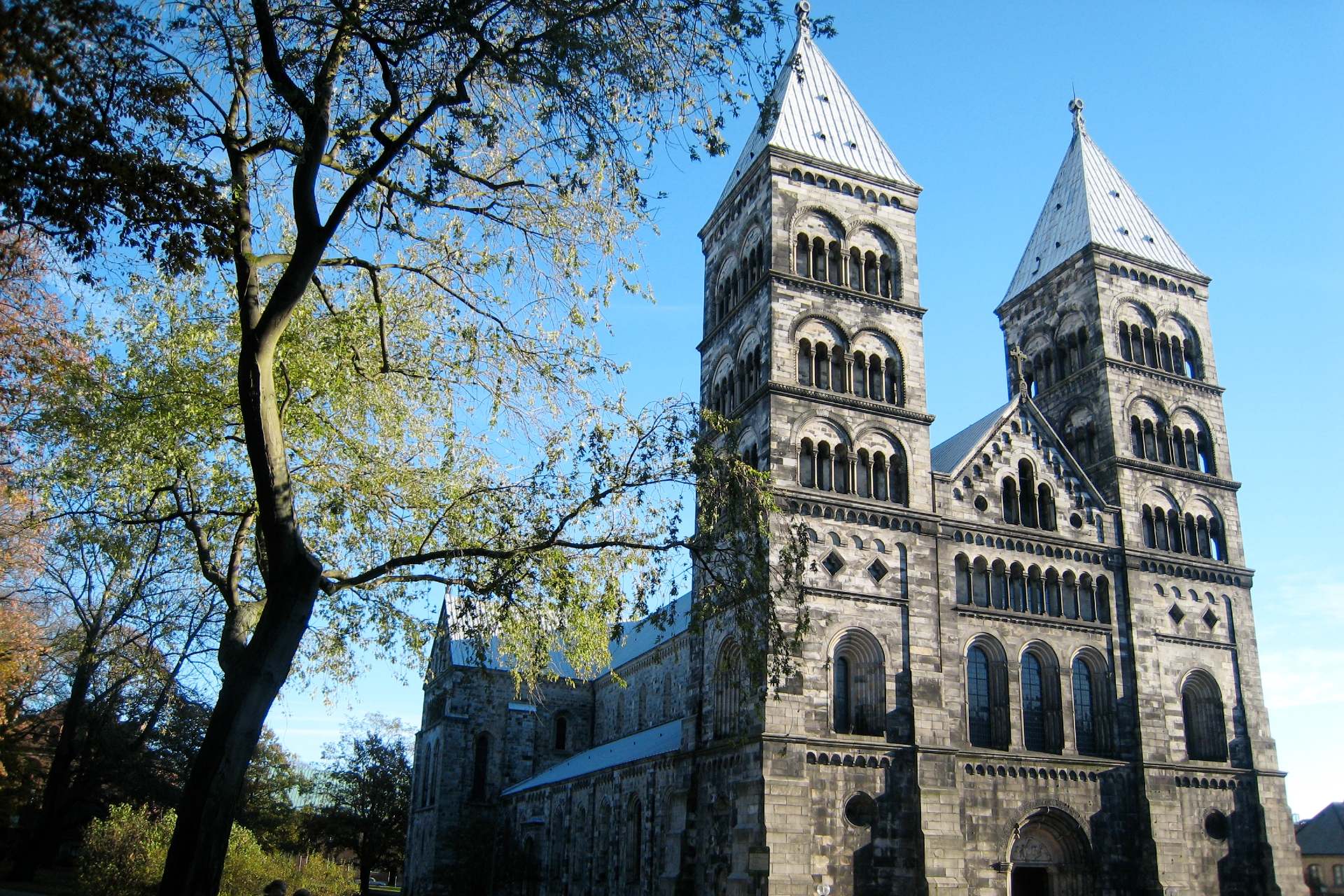 Ett nyutslaget träd bredvid Lunds domkyrka. 
