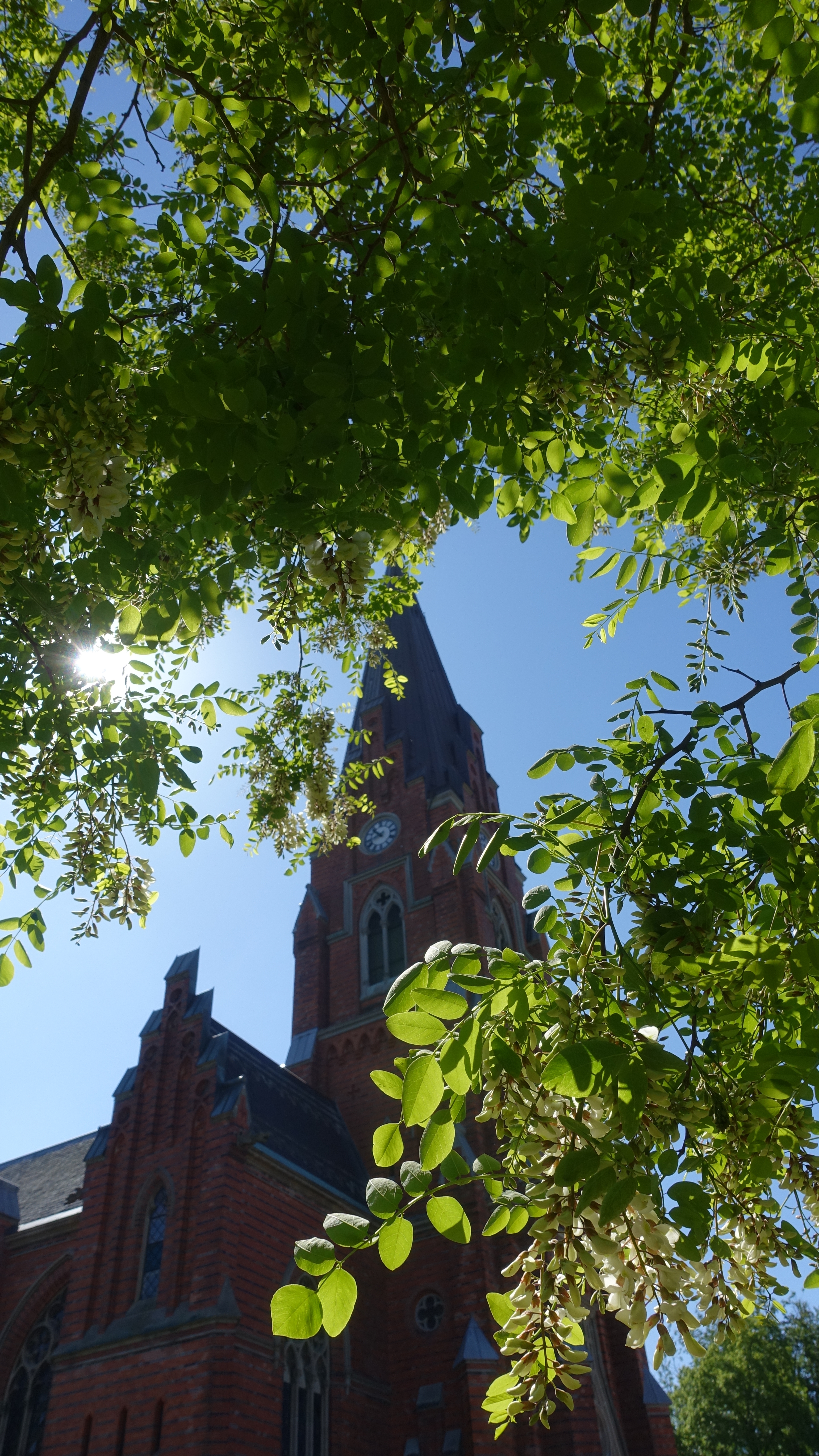 Lunds Allhelgonakyrka, framför kyrkan ser man trädens löv