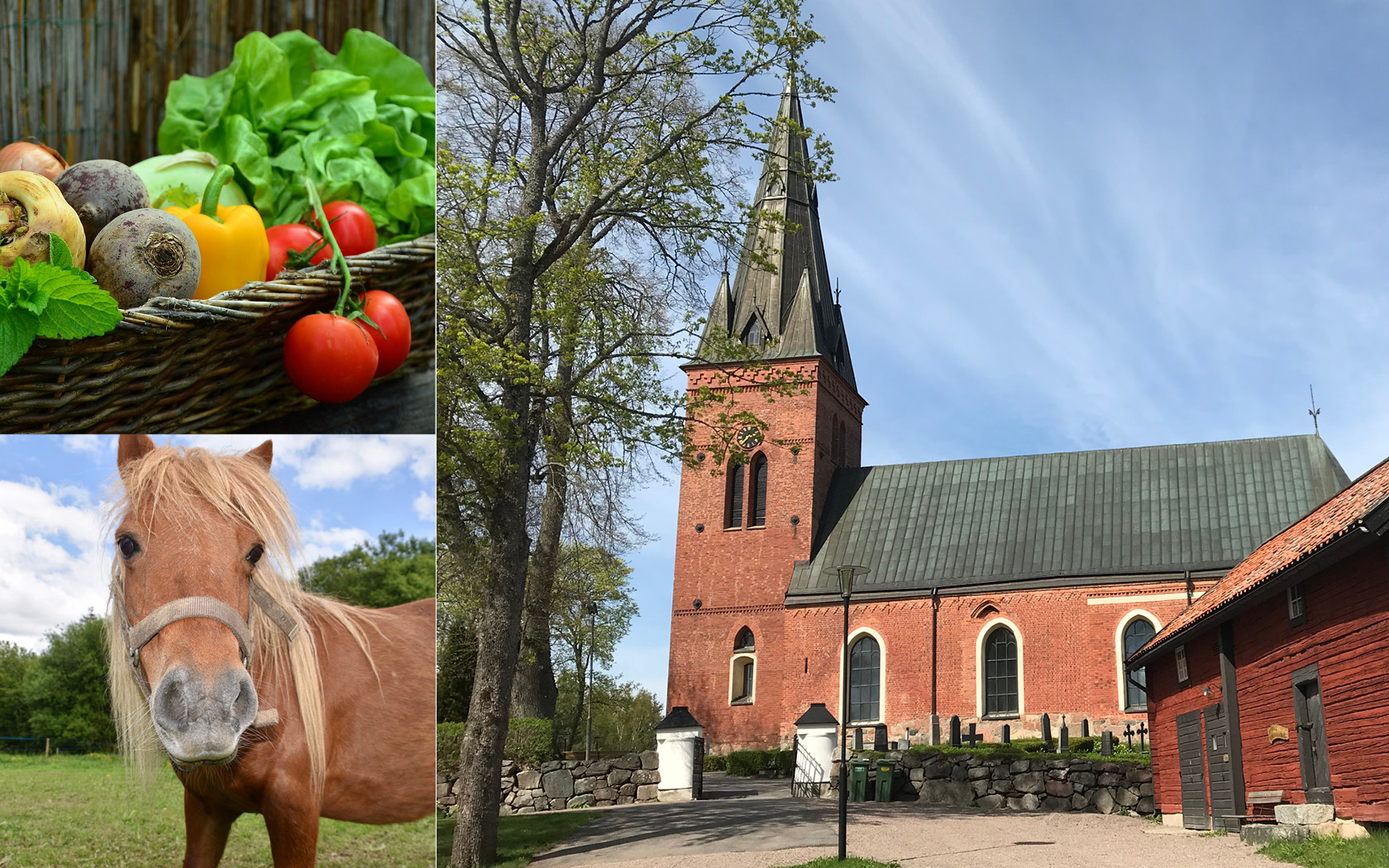 Danmarks kyrka