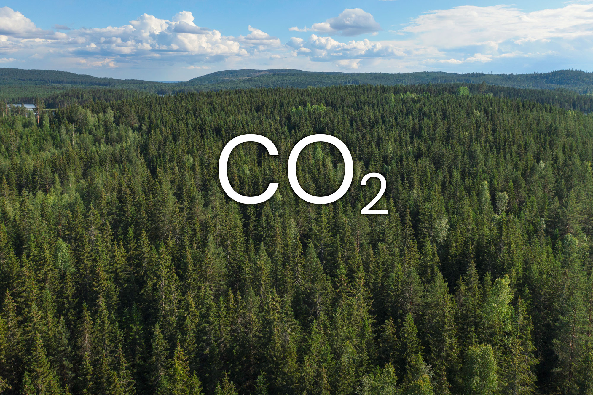Flygbild över granskog med blå himmel och texten CO2. 