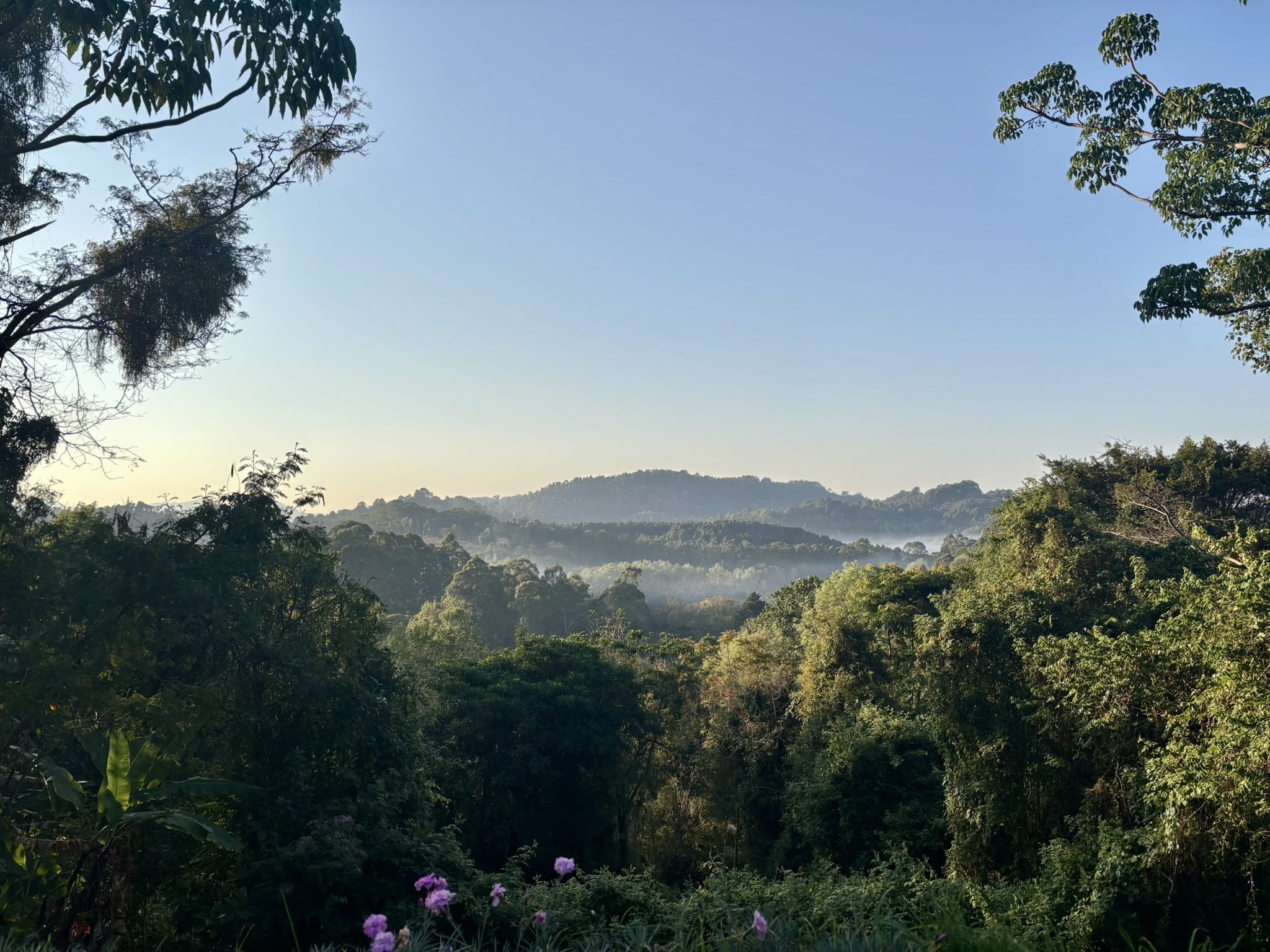 Utsikt över berg och träd med blå himmel.