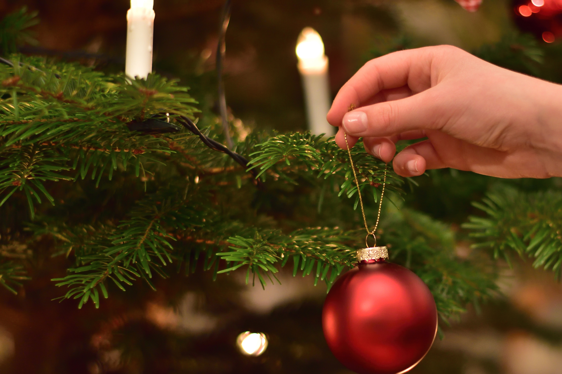 En röd julgranskula plockas ner från julgranen.