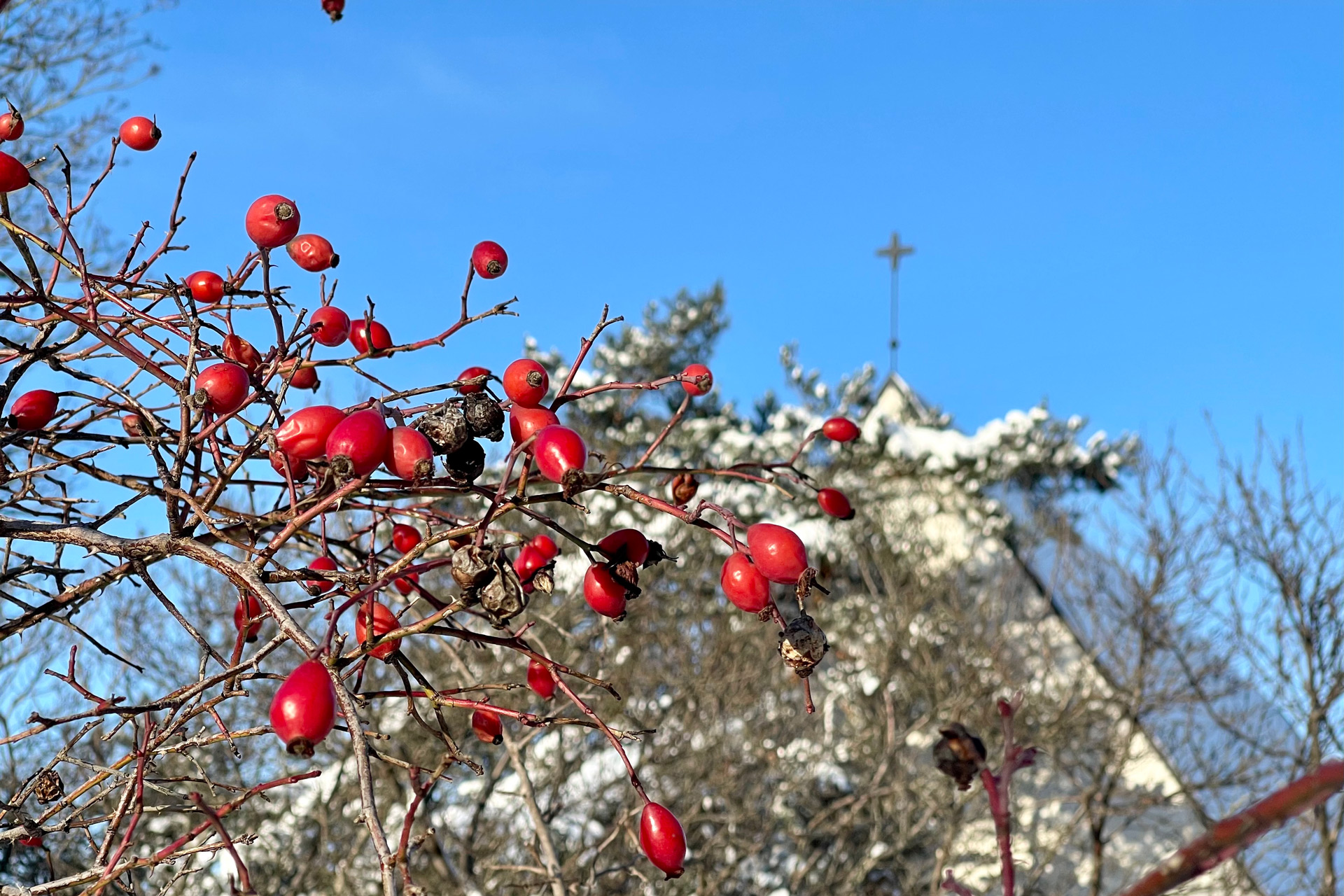 Kyrka i vinterlandskap