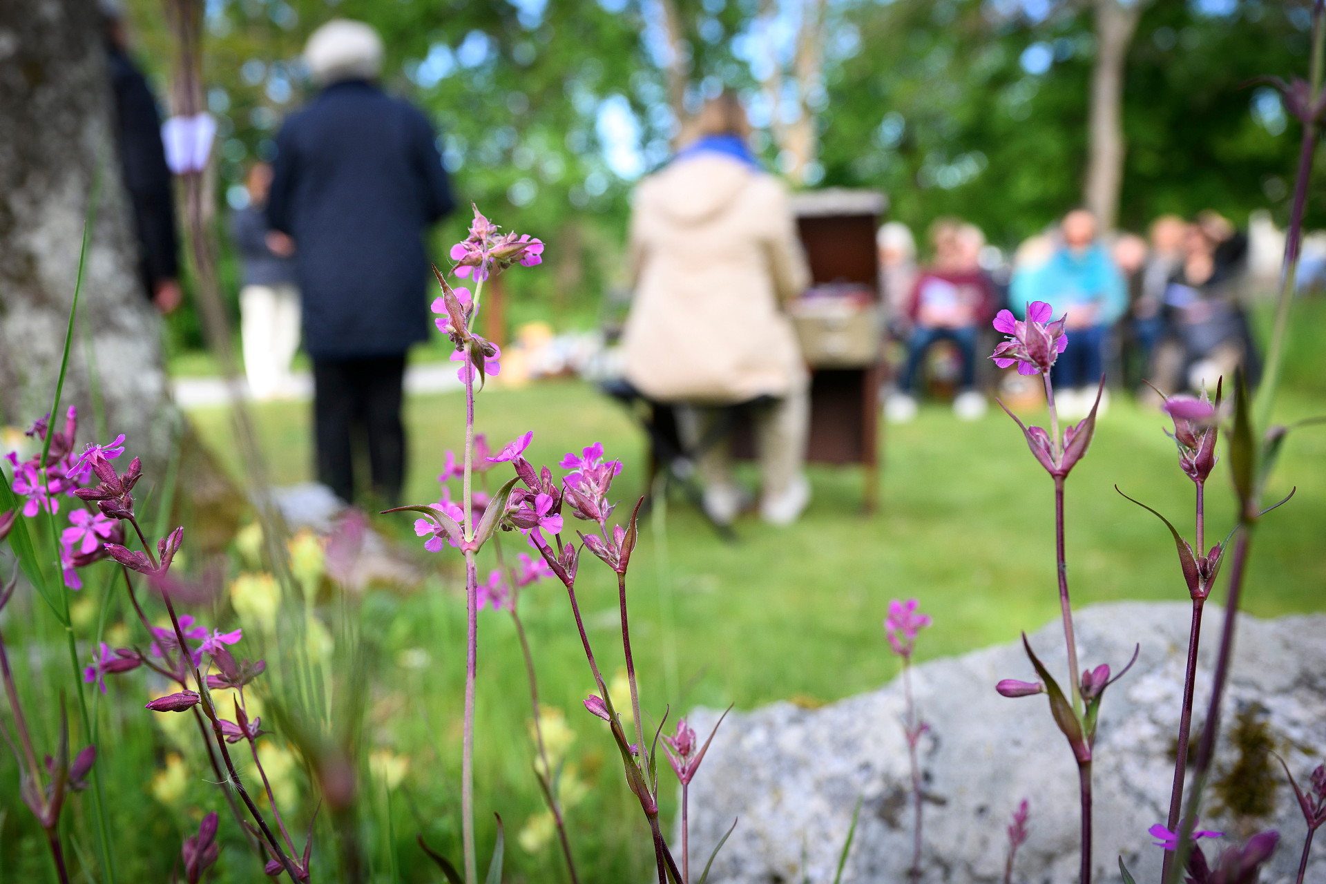 I förgrunden syns några blommar. I bakgrunden syns en äng där några personer firar gudstjänst i det fria.
