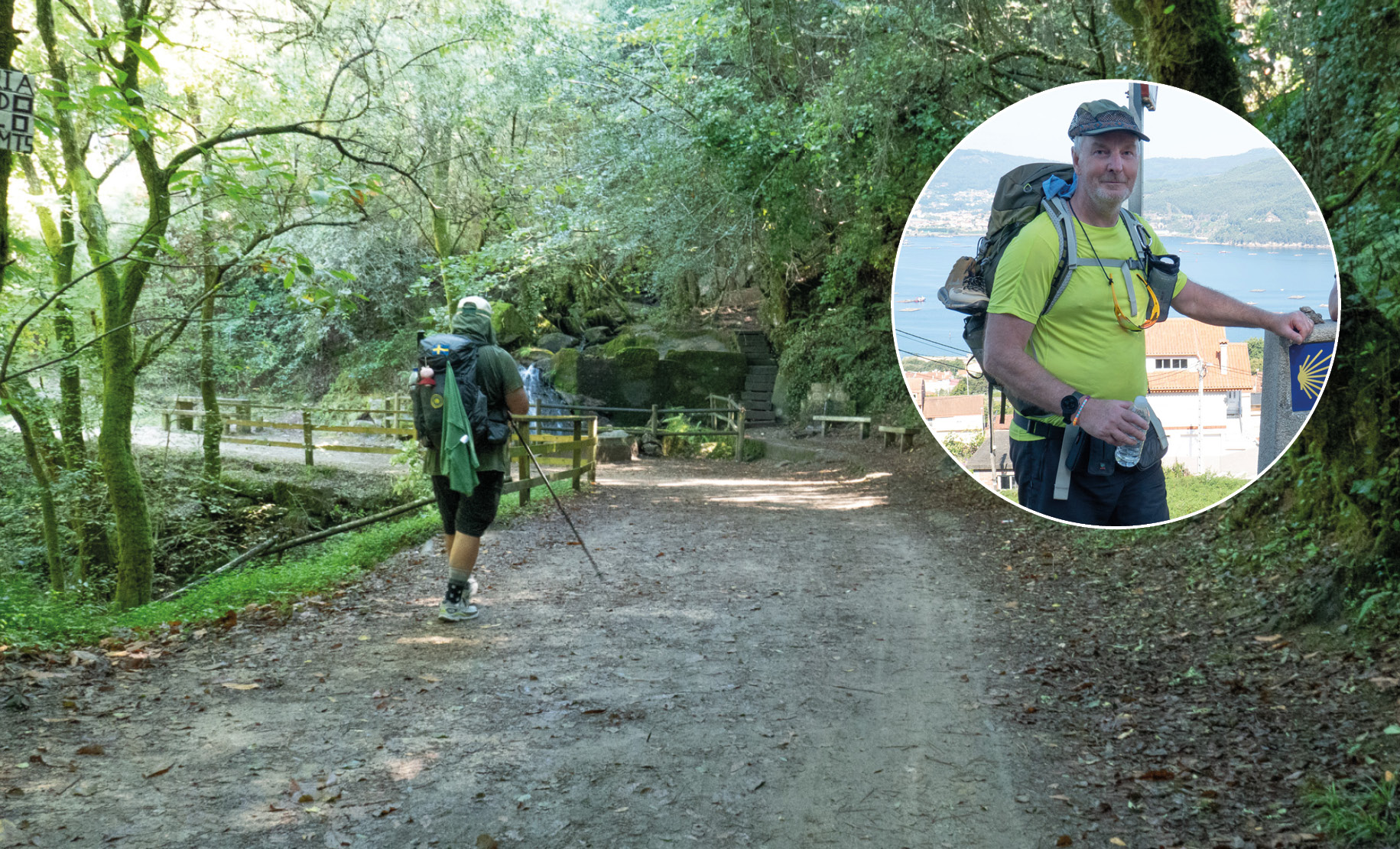 Man med ryggsäck i grön skog