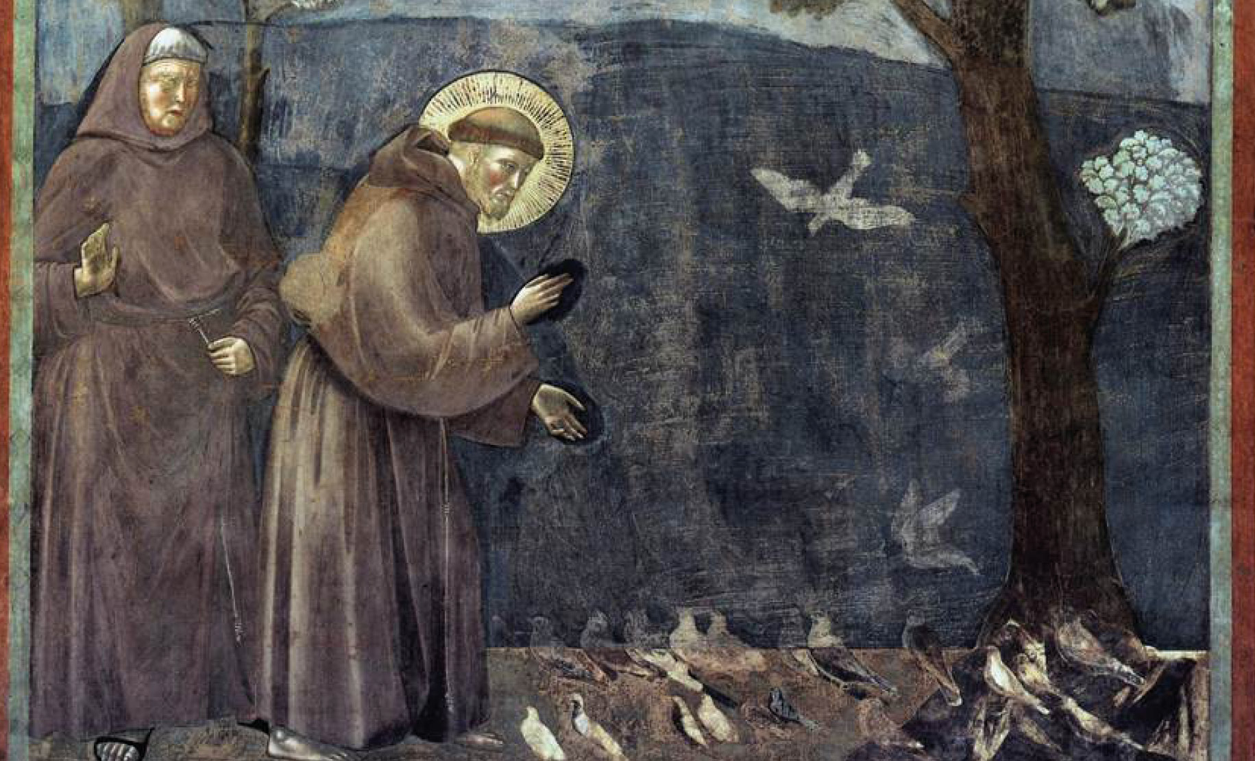 Franciskus illustration