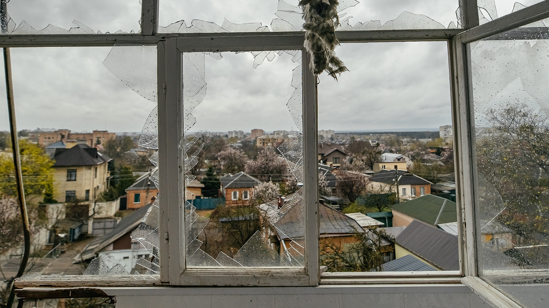 Sönderbombade fönster i Ukraina