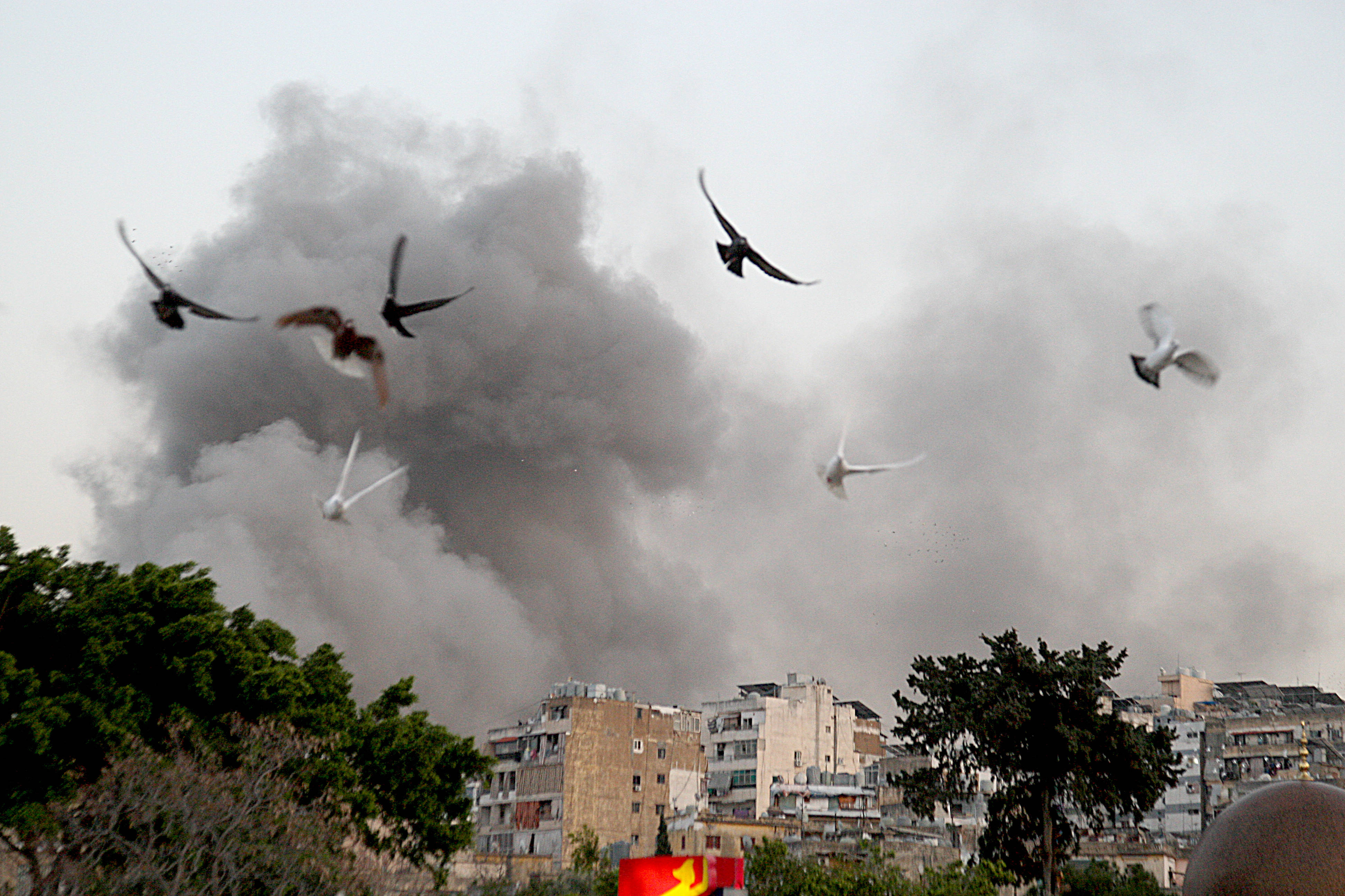 Rökmoln över stadsmiljö och fåglar som flyger