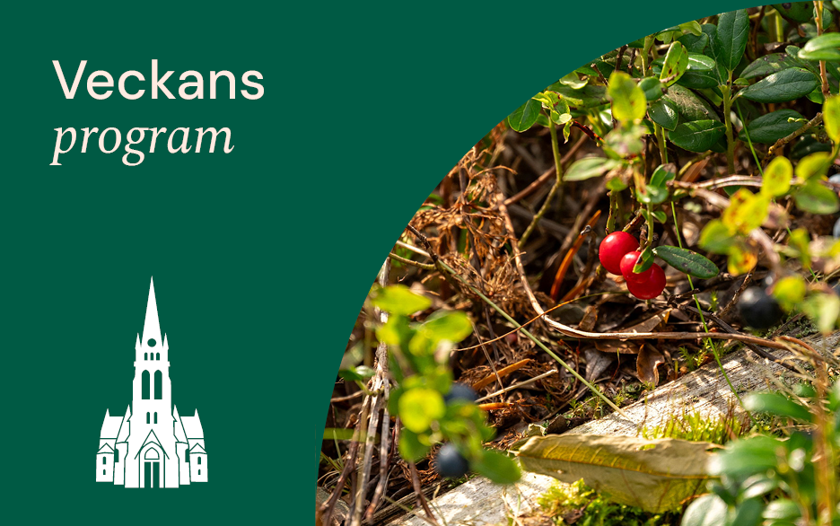 Foto på bär i skogen. Text: Veckans program. Illustration av Luleå domkyrka