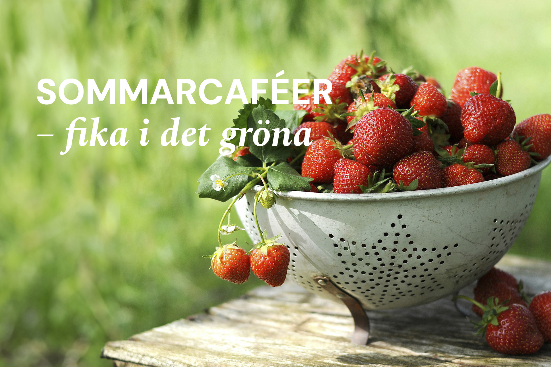 Sommarcaféer