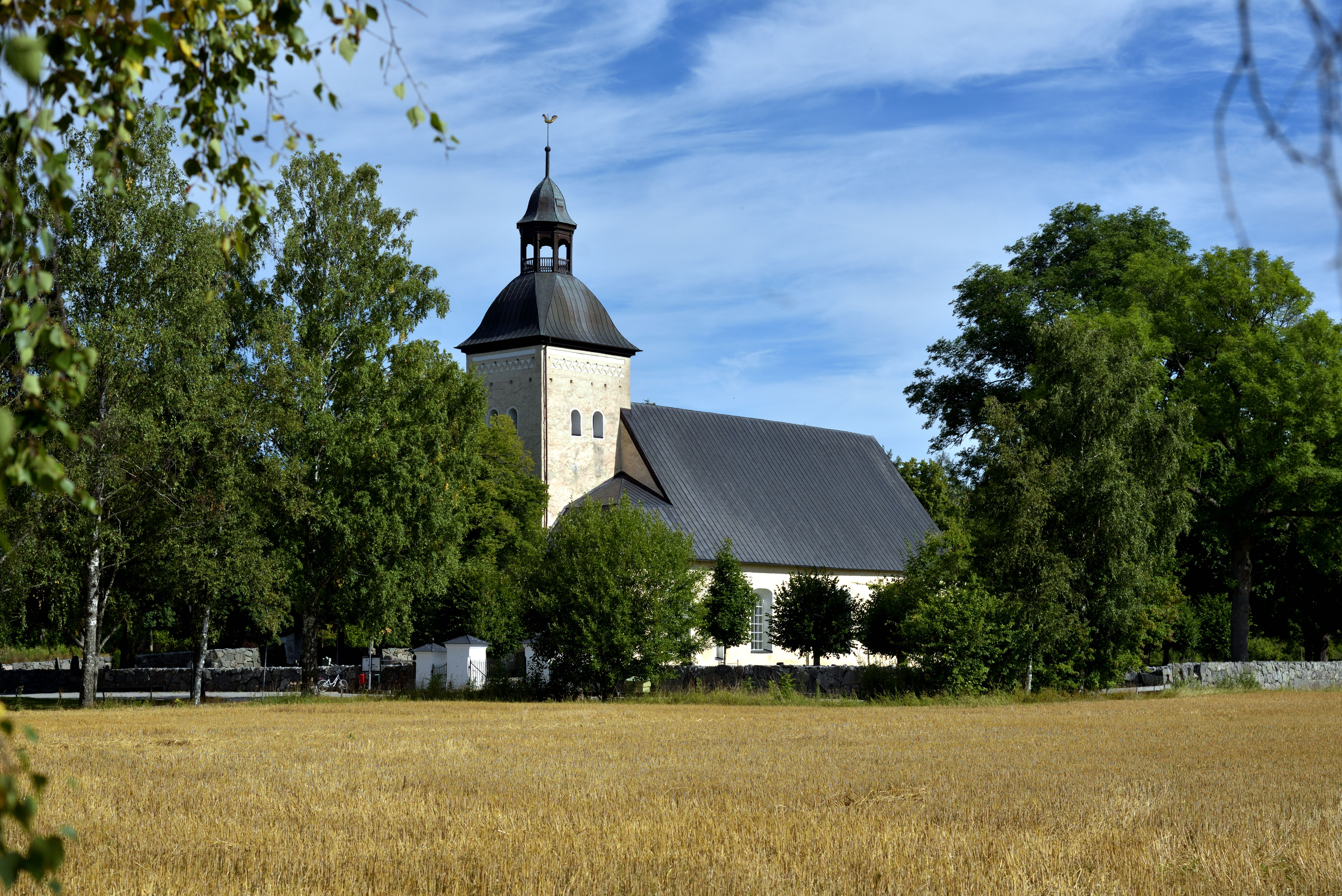 Tillinge kyrka med sitt torn tittar fram mellan gröna träd bortanför ett gult sädesfält.