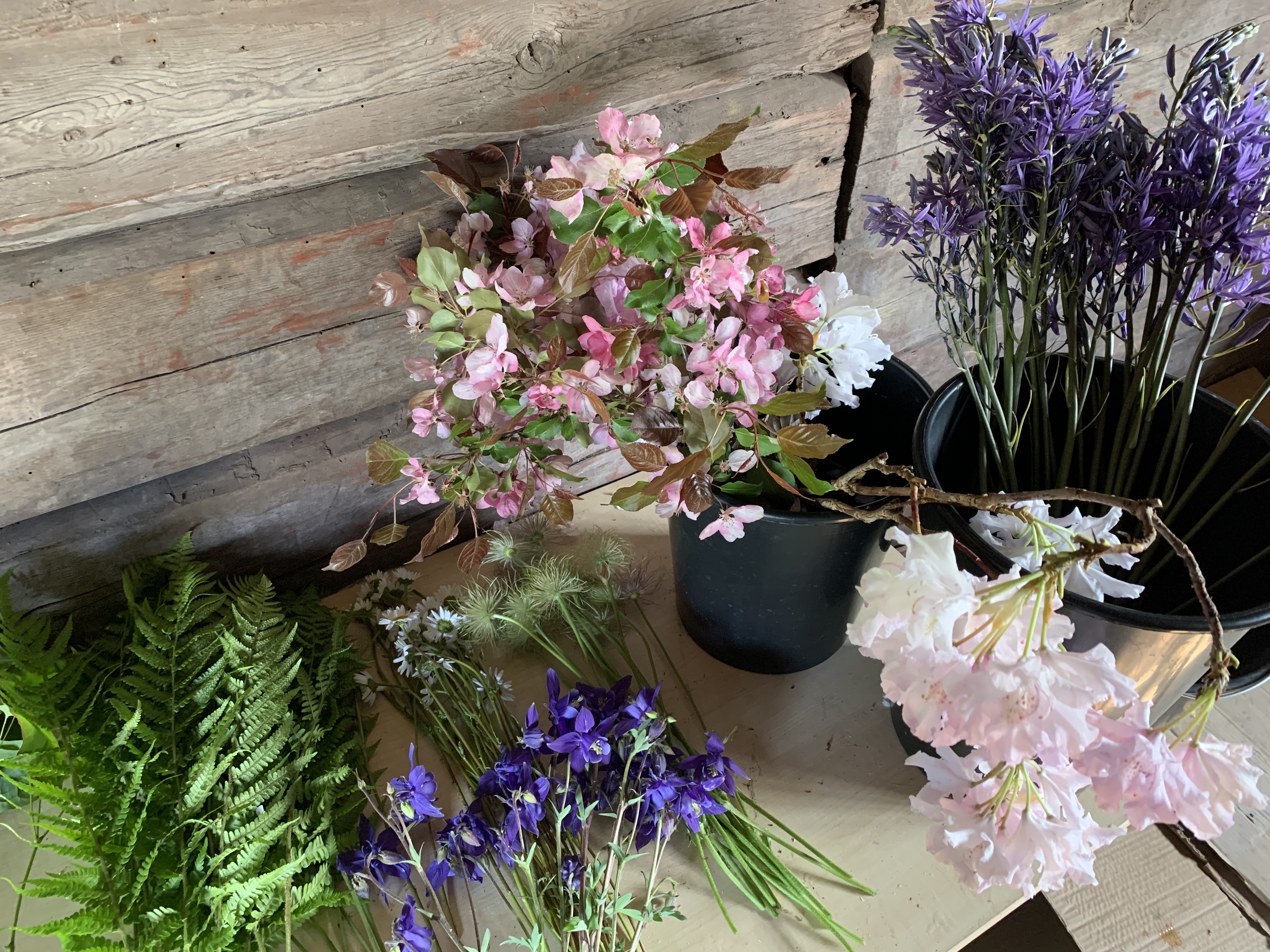 blommor i hinkar, plockade inför bukettskapande