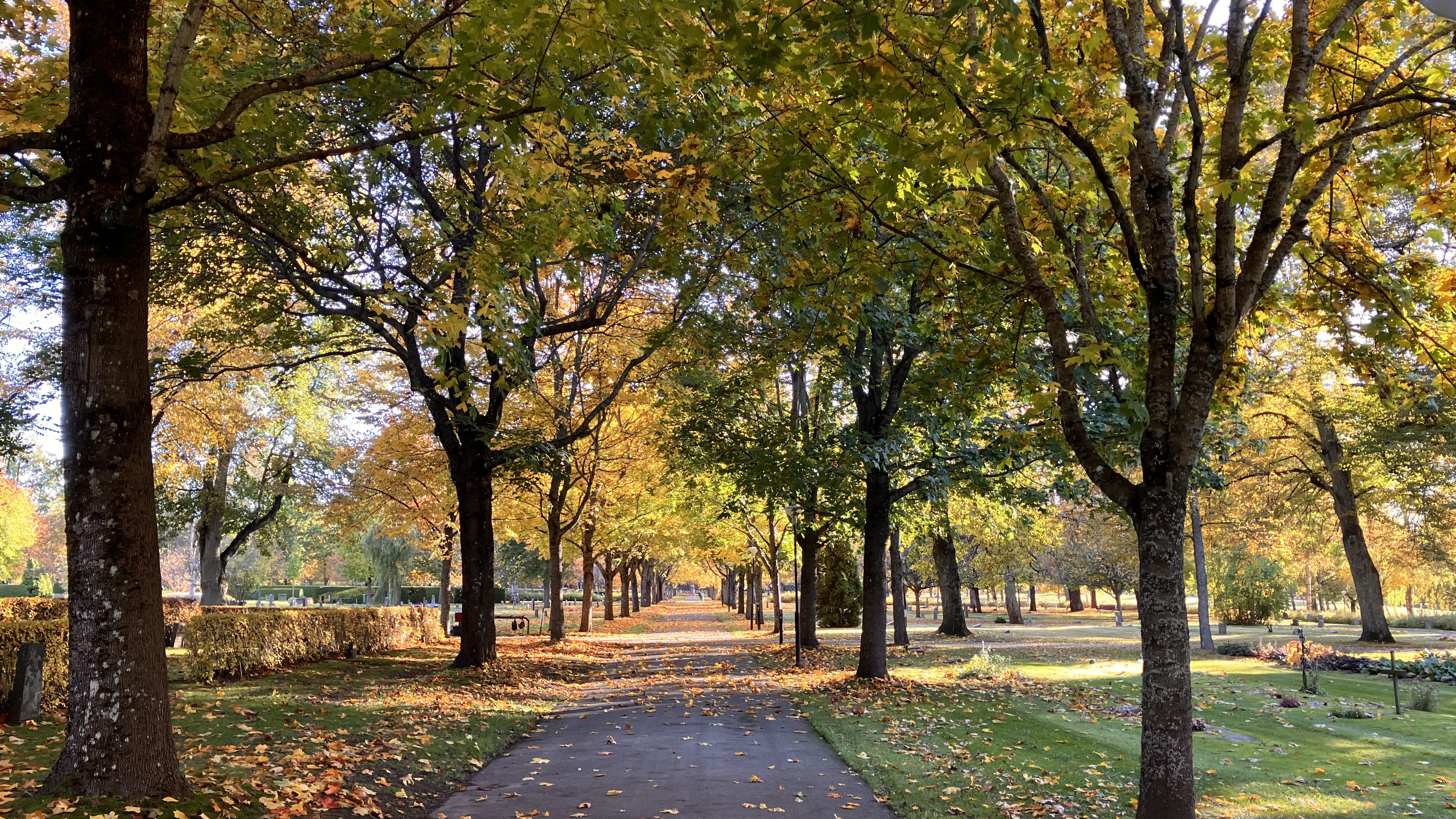 Höst Norra kyrkogården