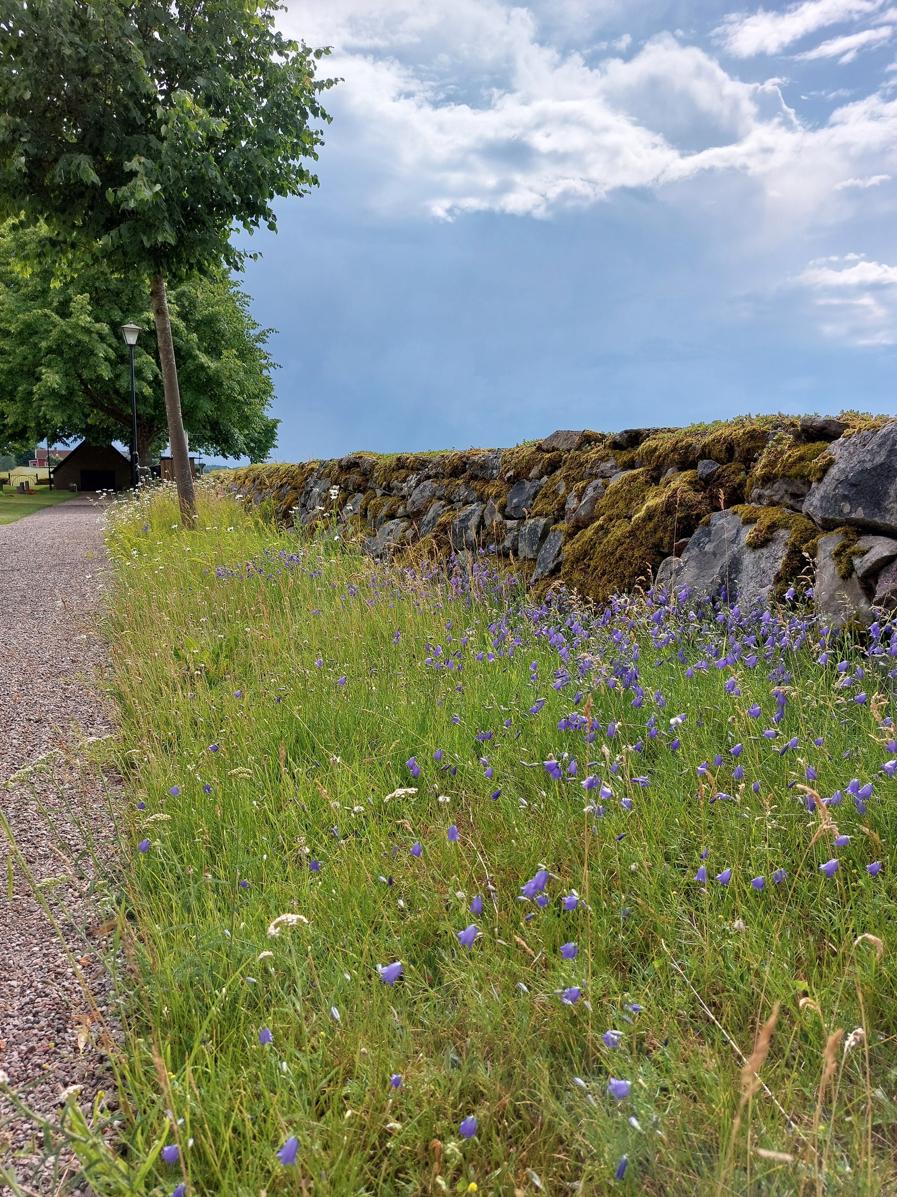 Miljöarbete ängsmark Edsberg