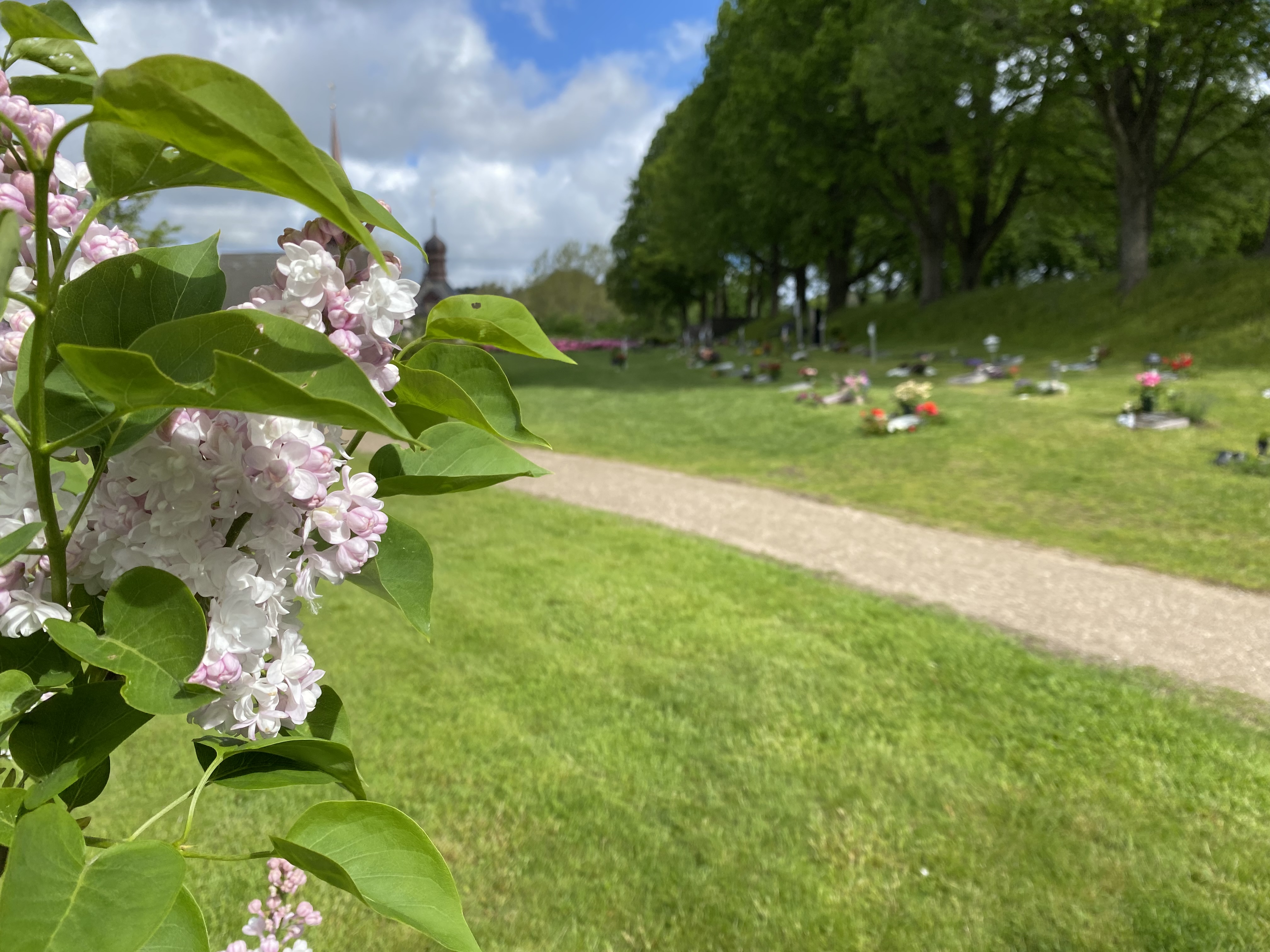 Kvarter Syrenen, Östra kyrkogården