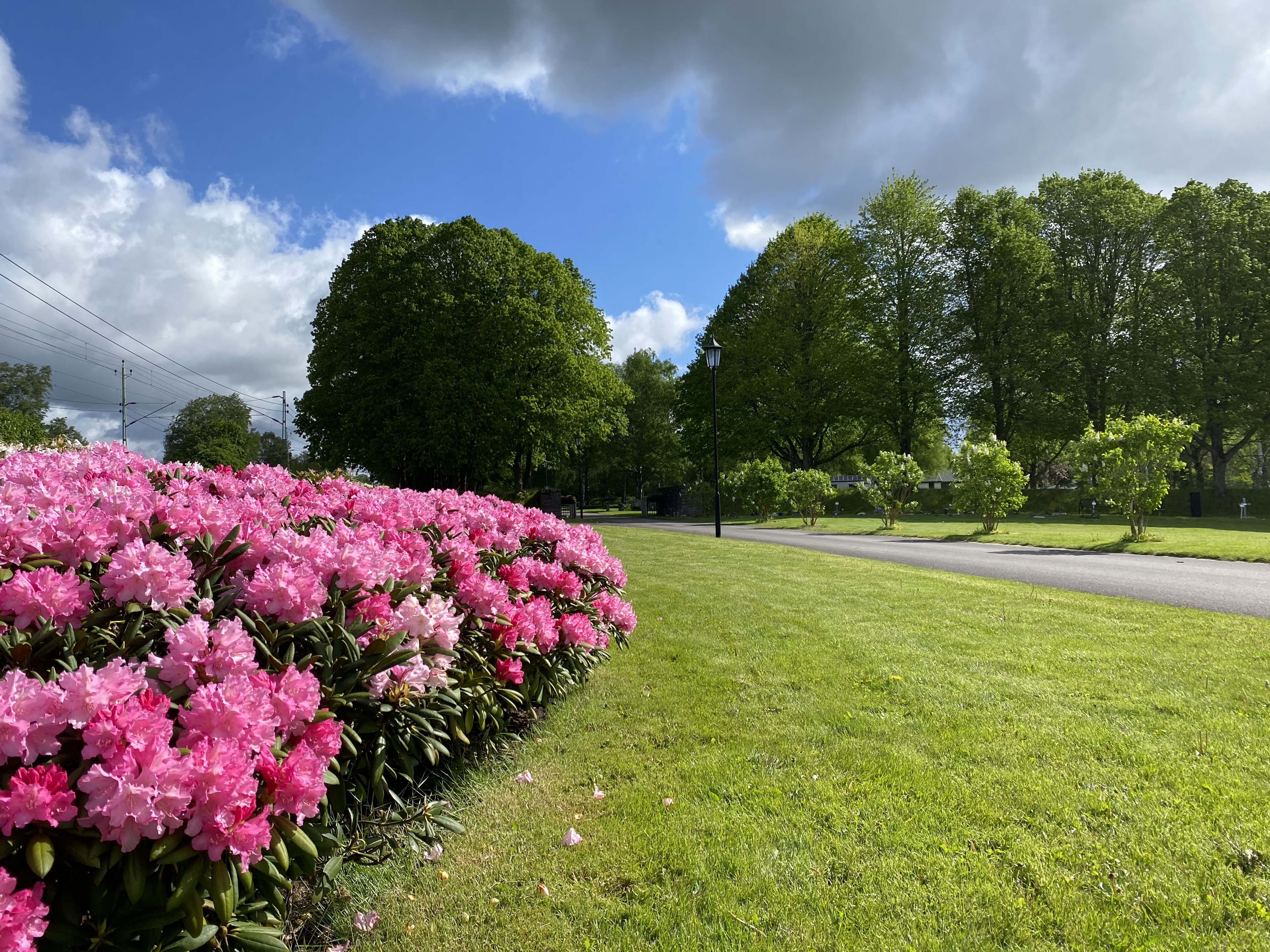 Entrén, Östra kyrkogården