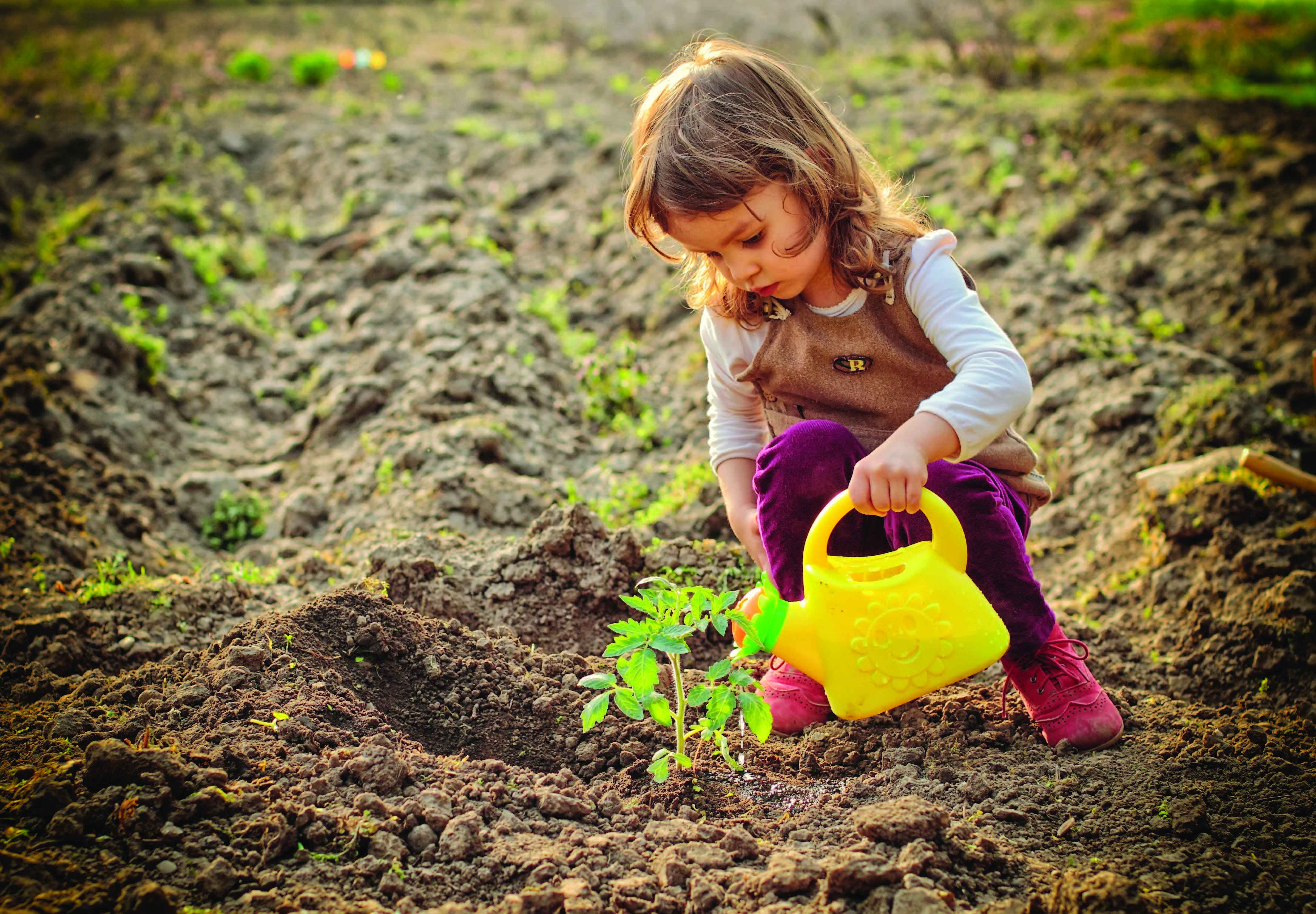 Flicka vattnar blomma med kanna