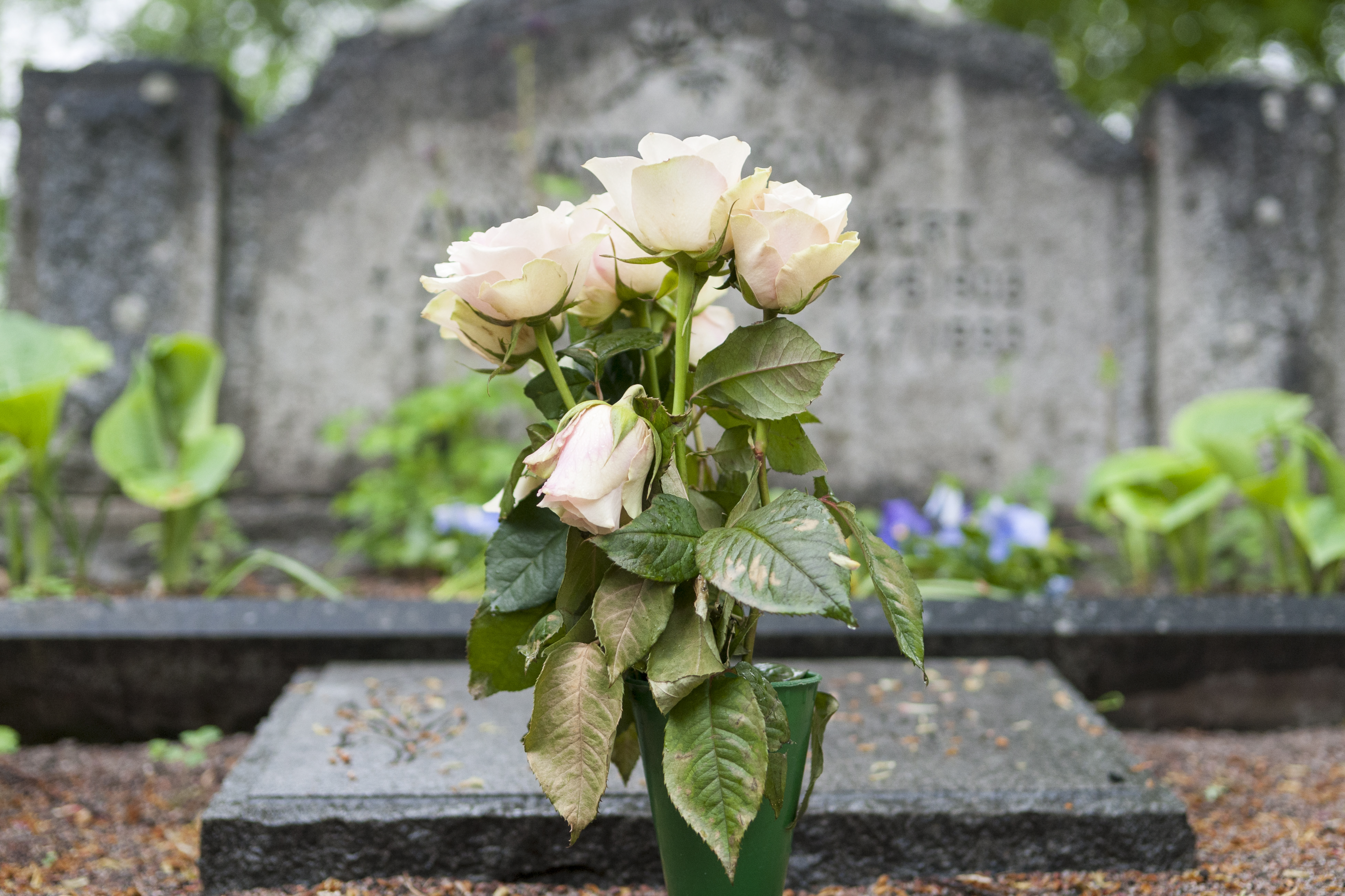 Gravsten med blommor