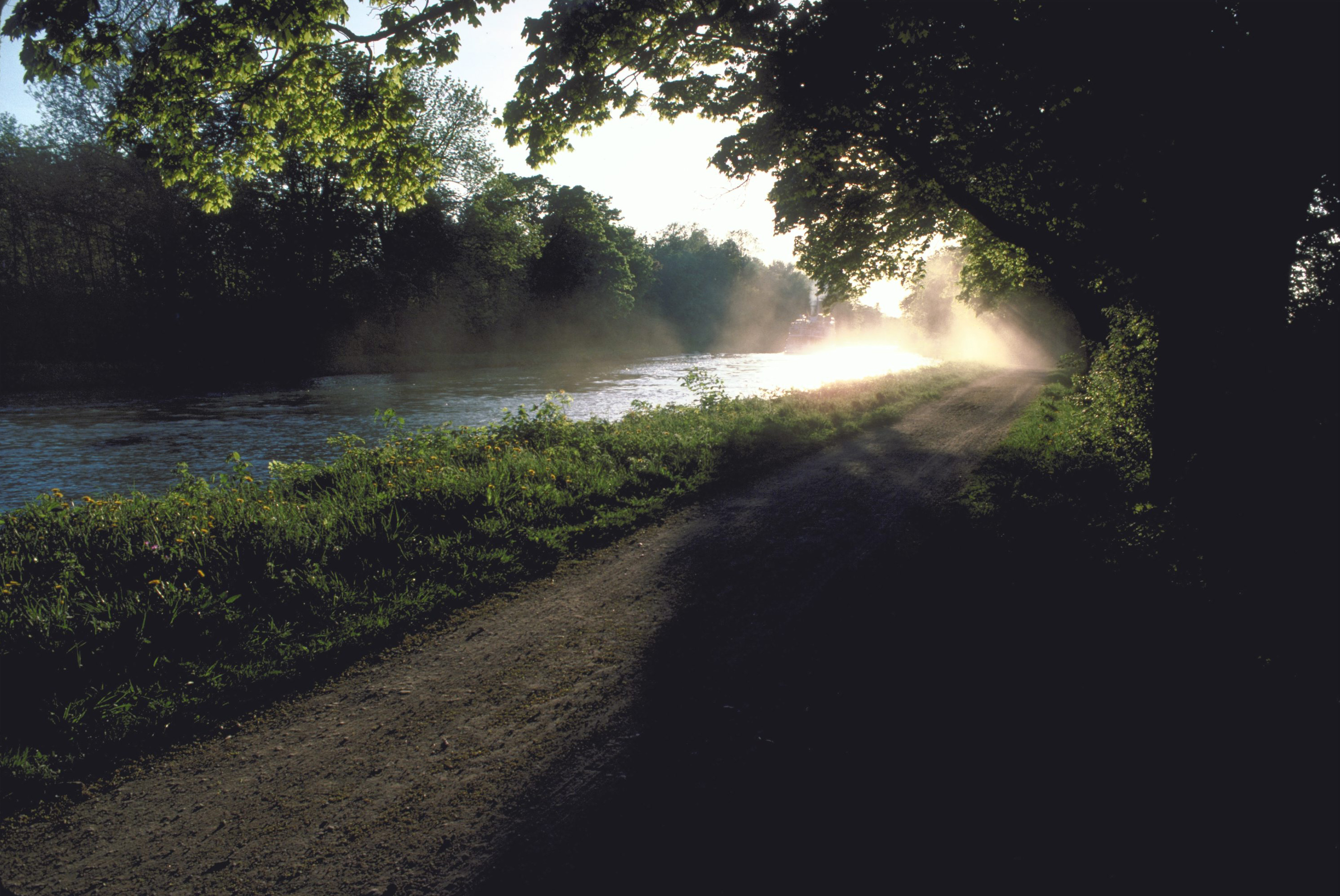 En å rinner bredvid en grusväg i skogen. Solen lyser.