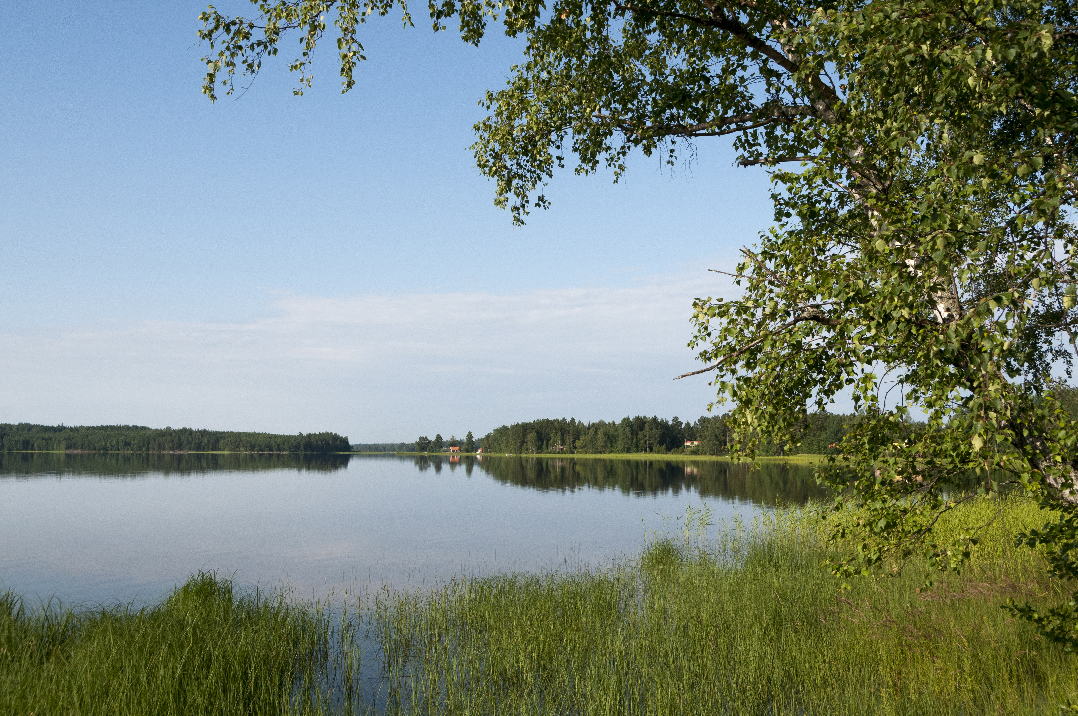 En stilla sjö under blå himmel.