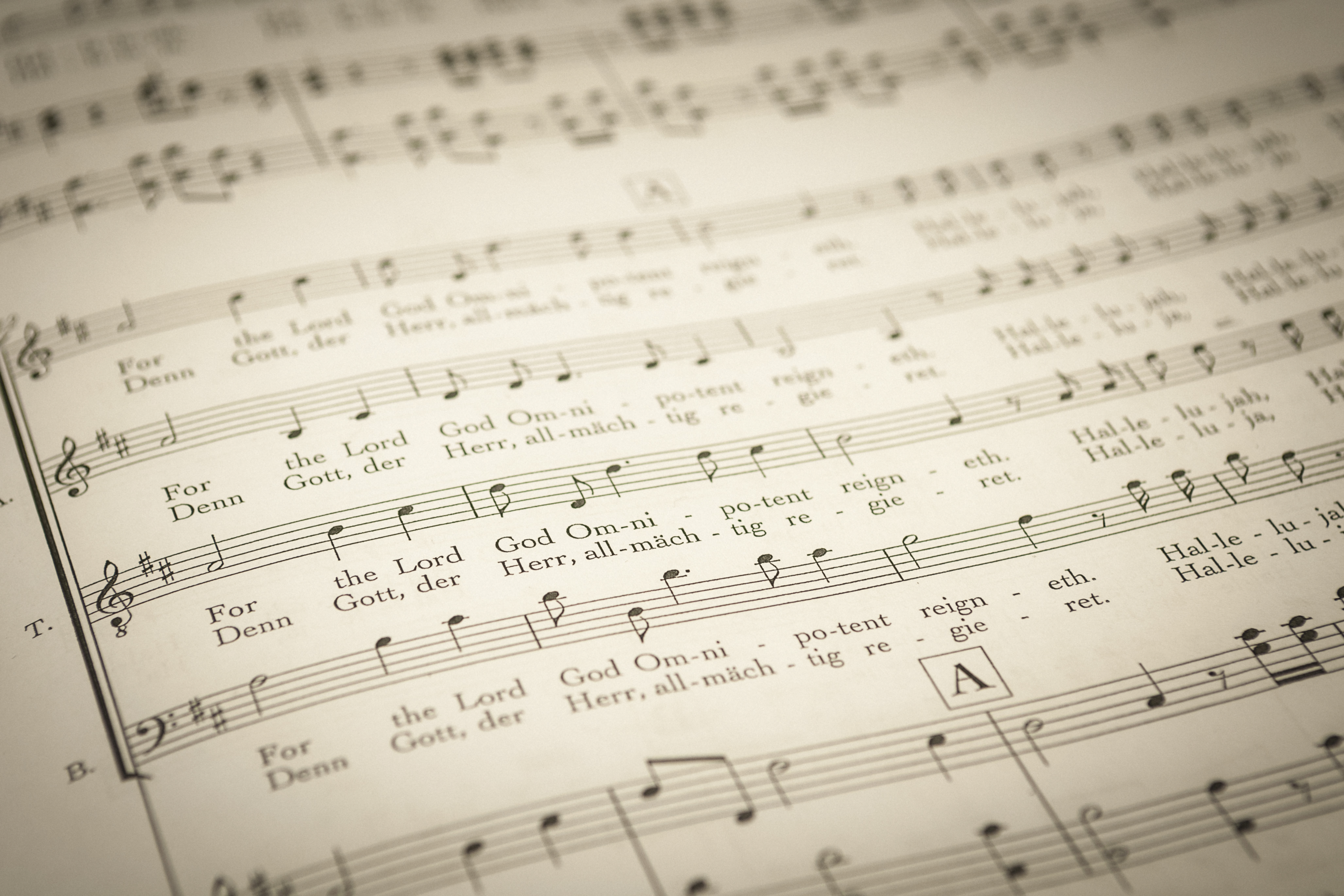 Närbild på ett notblad.