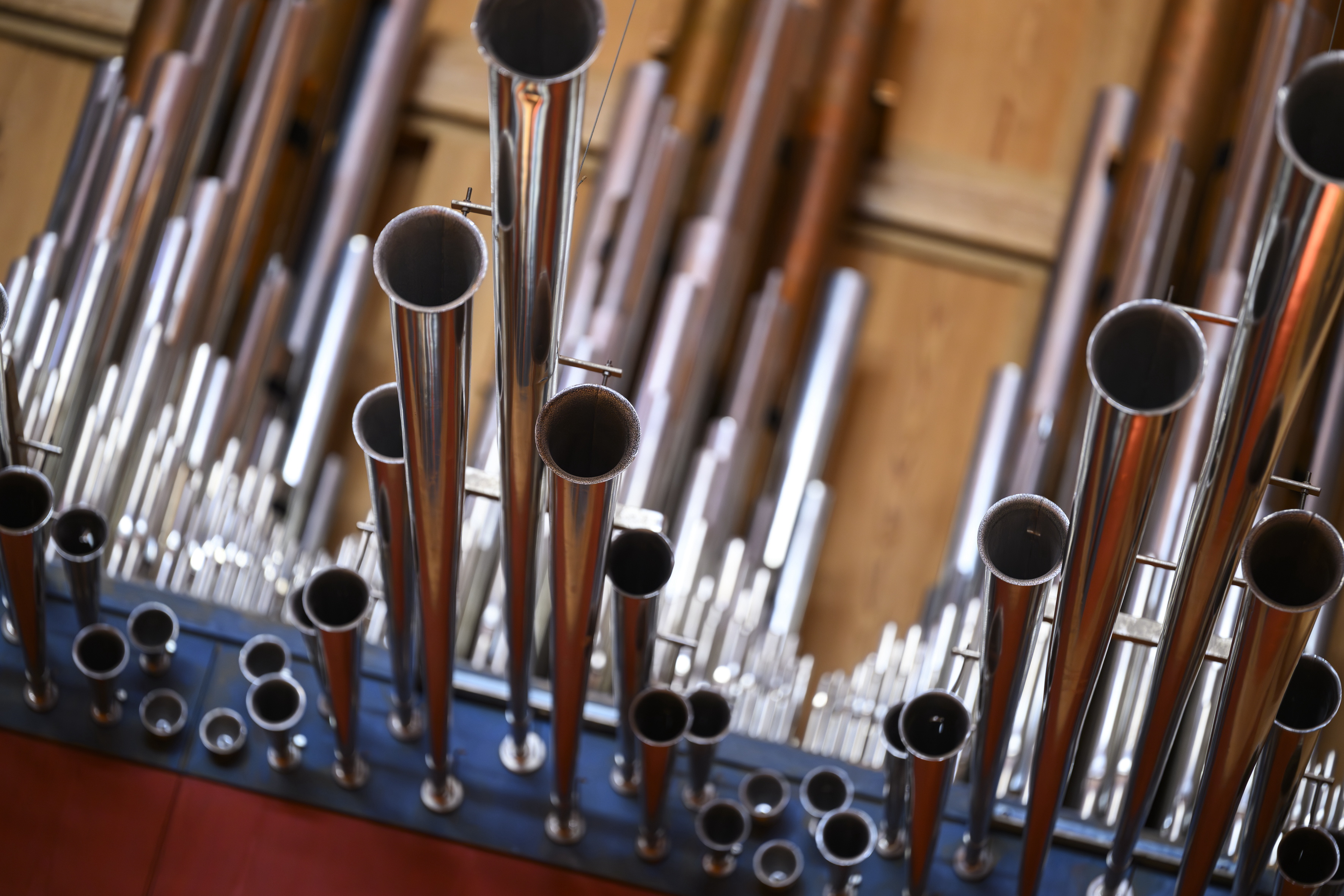 Närbild på orgelpipor.